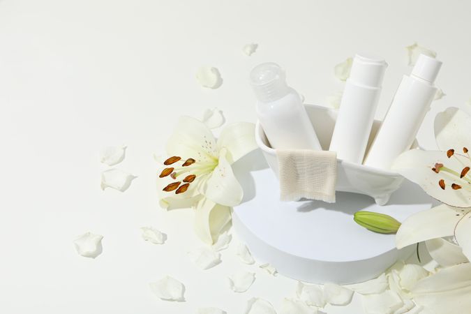 Concept of cosmetic and beauty care, space for text