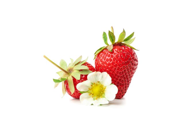 Tasty red strawberry isolated on blank background. Summer berry