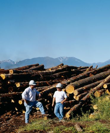 Loggers in Oregon