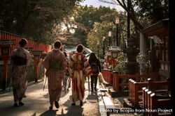 Back view of Japanese women in kimonos walking in an ancient road in Japan bGJ1a4