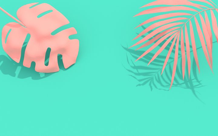 Green background with pink painted palm and monstera leaves