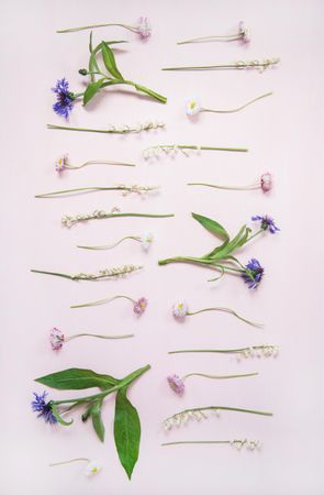 Lily of the valley, cornflowers and daisies in delicate rows over pastel powder pink, vertical