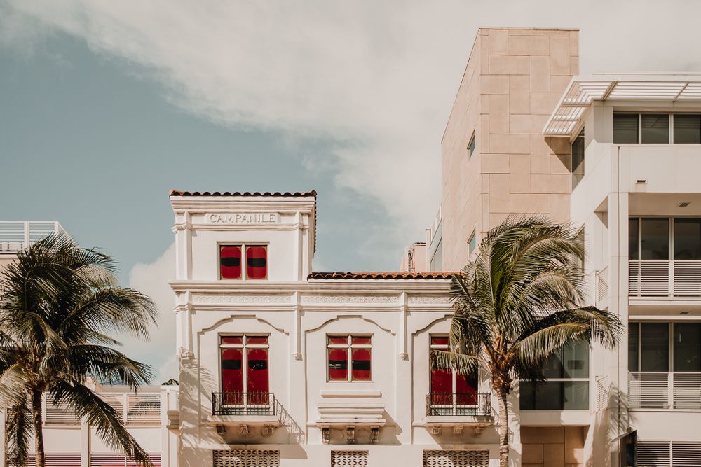 MIAMI, USA - November 13, 2018: Palms growing near city building