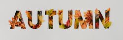 “AUTUMN” with colorful leaves cut out of light paper
