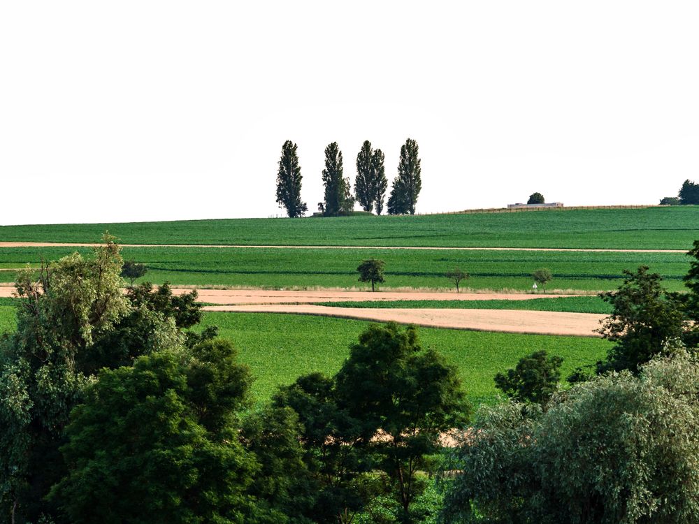 Landscape of Alsace. The Vosges mountains, green meadows