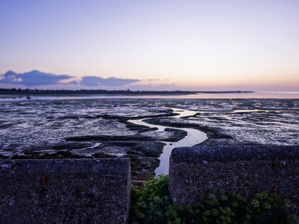 A winding trench disappearing with the rising tide from the edge of the dike