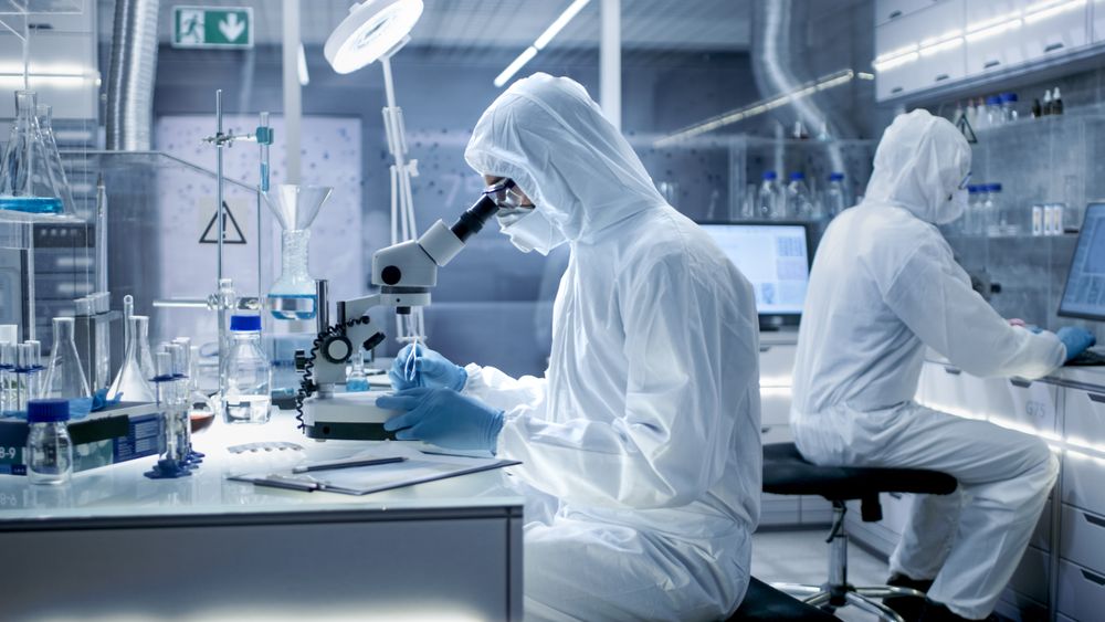 Biologist Adjusts Samples in a  Petri Dish with Pincers and Examines Them Under Microscope and His Colleague Analyzes Results on a Computer.