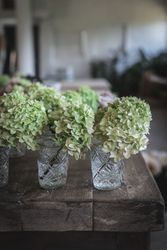 Table with set of flowers in glasses in room