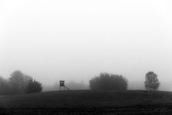 Hunting blind and fog in Aitkin County, Minnesota
