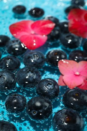 Top view of blueberries soaking in sparkling water with flowers, vertical