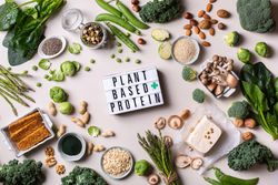 Variety of healthy vegan, plant based protein source and body building food with sign