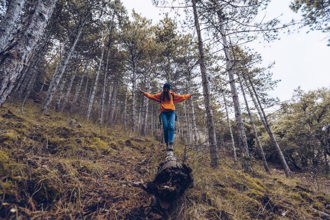 Female tourist balancing and walking along fallen tree in forest