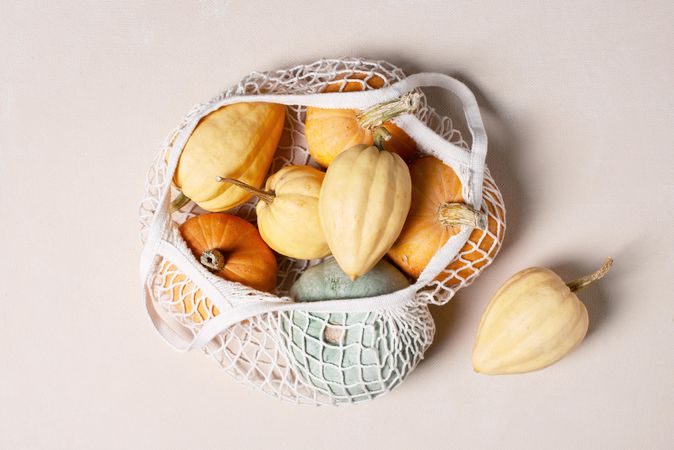 Variety of colored pumpkins on light background in mesh bag