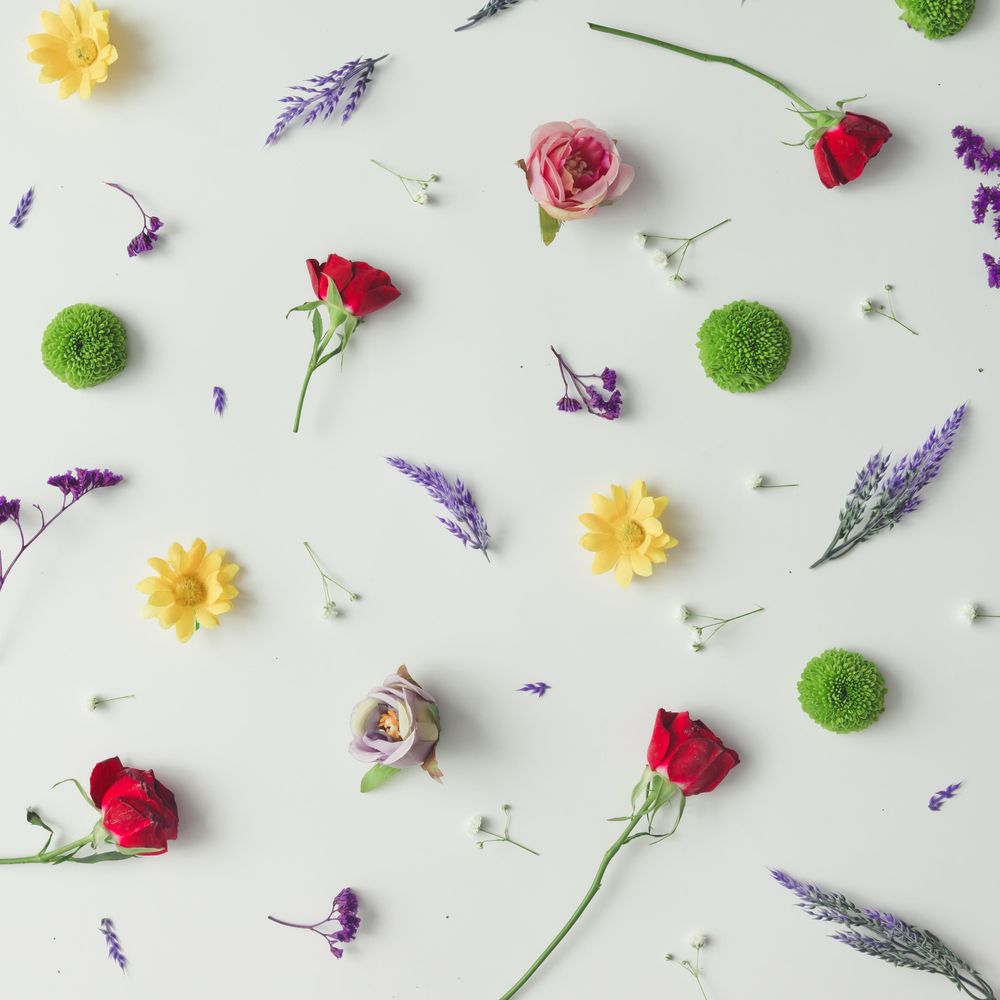 Pattern made of various flowers and leaves