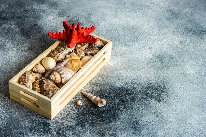 Wooden box full of sea shells on stone background