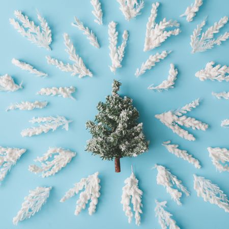 Snowy Christmas tree branches surrounded central tree on pastel blue background