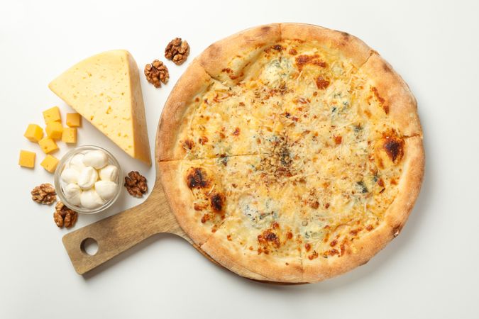 Cheese pizza and ingredients on plain background