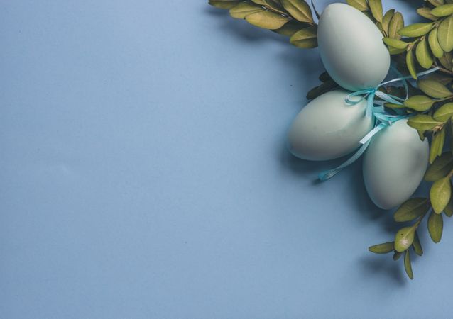 Easter holiday card with eggs and branch on pastel blue background