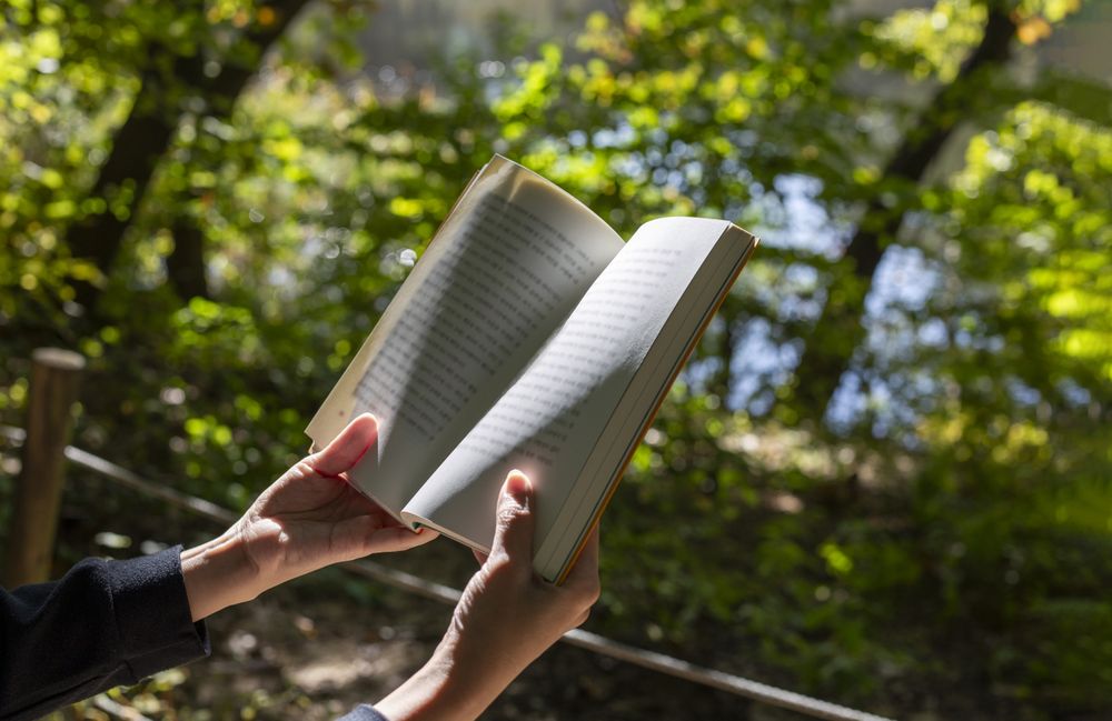 reading outdoors in the sun