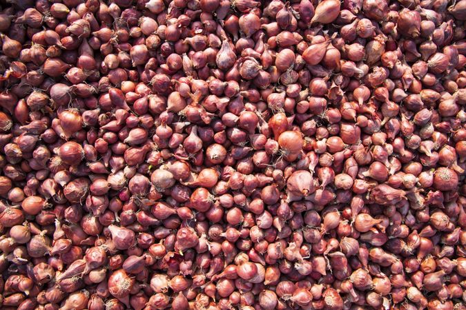 Pile of red onions