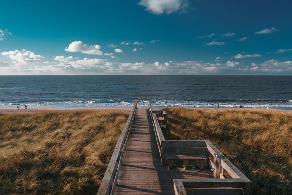 Brown wooden dock on brown grass field near ocean