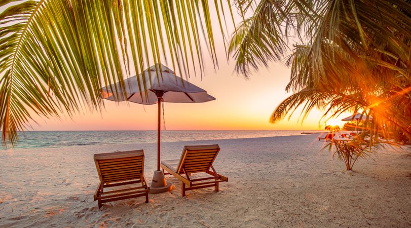 Palm trees framing two lounge chairs on the beach