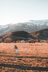 Picturesque view of mountains with forest in snow