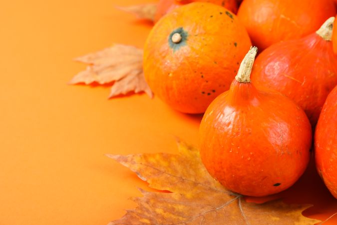 Composition with pumpkins and leaves on orange background, copy space