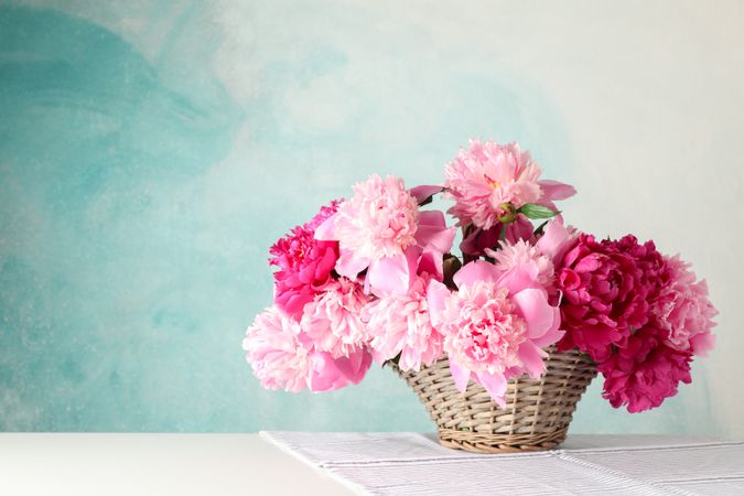 Wicker basket with bouquet of beautiful peonies on table against blue background, space for text