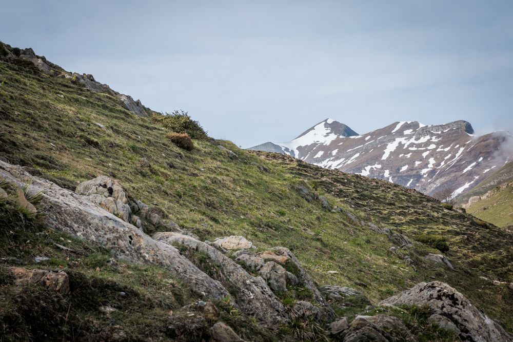 Views of peaceful hills in countryside