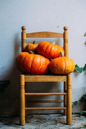 Shiny orange pumpkins composed on chairs