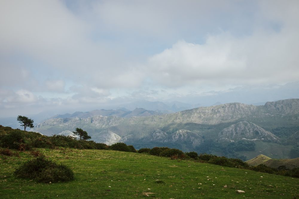 Astonishing view of green forested valley under cloudy sky in summer