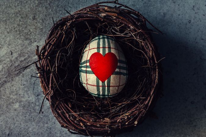 Burberry pattern egg with heart in bird nest