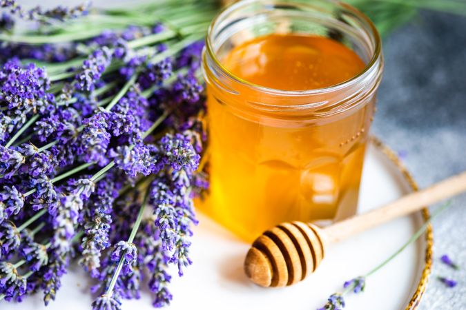 Pot of honey with bunch of lavender with dipper