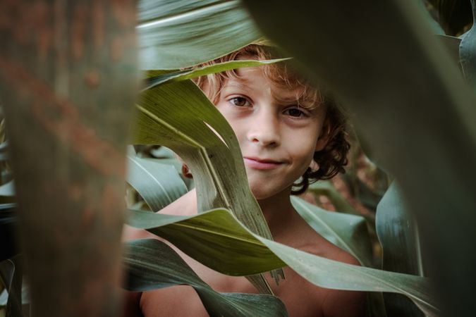 Smiling boy behind corn leaves