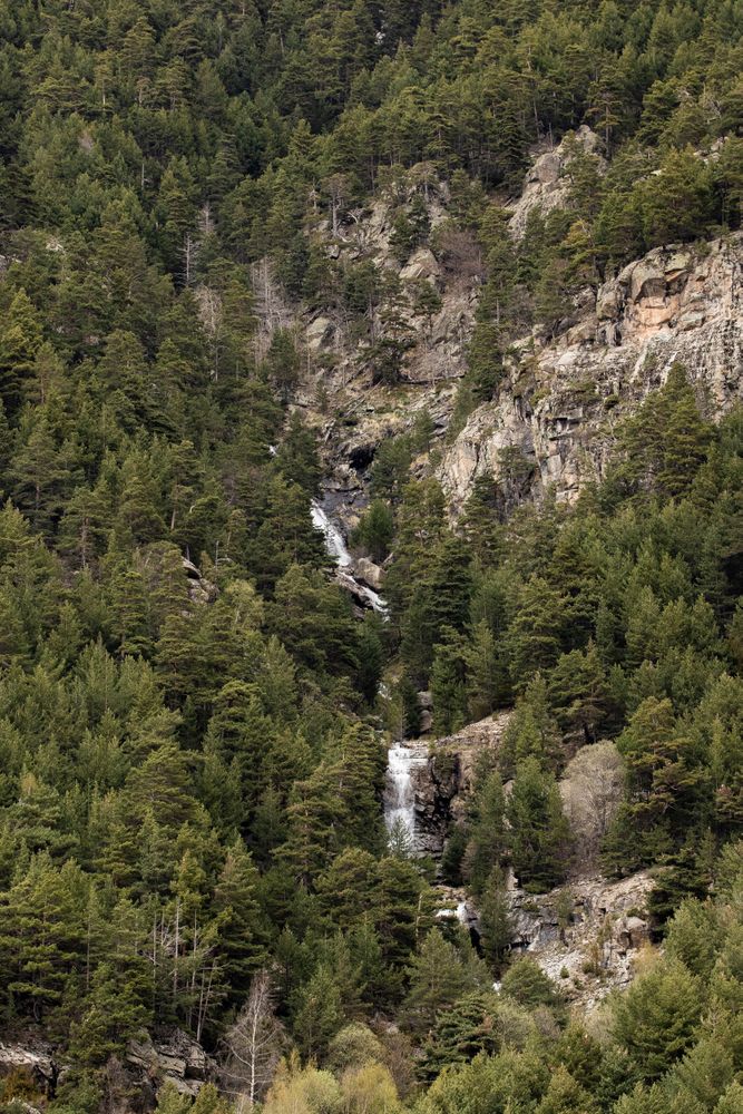Scenery of waterfall in mountainous forest
