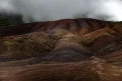 Shot looking up at hills in Mauritius