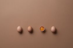 Organic eggs and one cracked egg with yolk