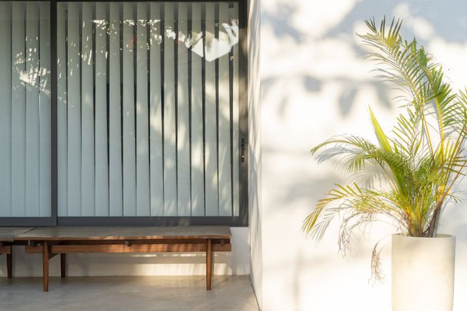 home yard with wooden chairs, plants and sun light