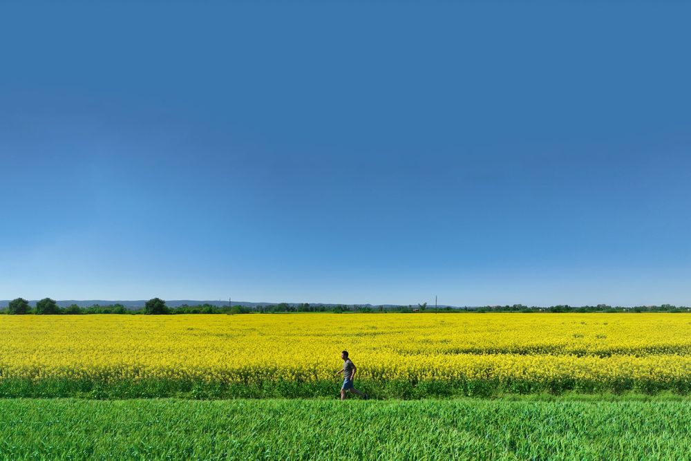 view of a runner jogging through nature, embracing fitness and freedom