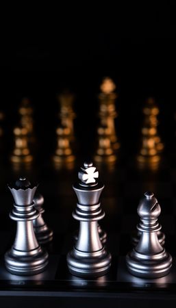 Silver chess pieces in focused light.