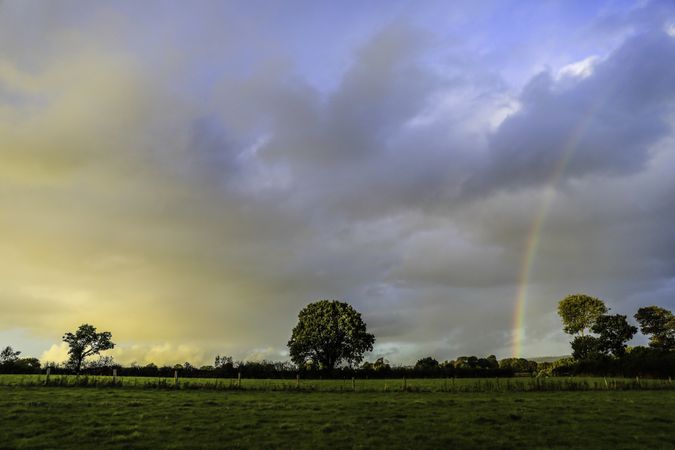 Rainbow and trees in Cornish countryside