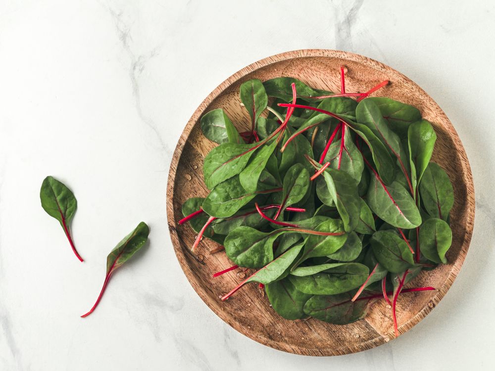 Fresh salad of green chard leaves or mangold