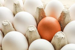 Chicken eggs in carton box as background, closeup