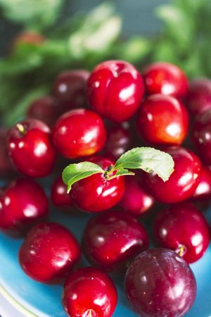 Fresh cherries with green leaf