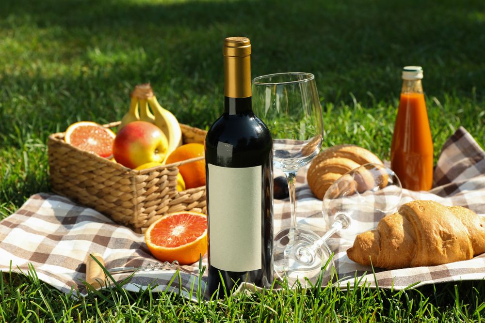 Picnic composition with wine and food against green grass, space for text