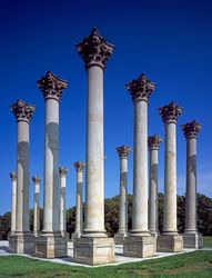 The Capitol Columns at the Washington Aboretum, Washington, D.C. 5aXOK0