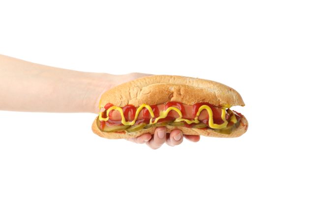 Hand holds tasty hot dog, isolated on plain background