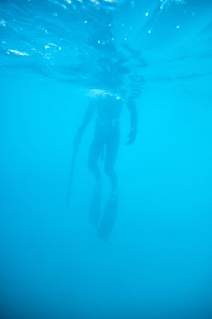 Anonymous diver spearfishing in blue sea water