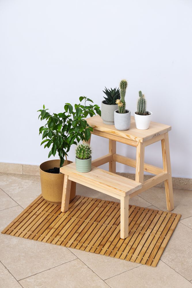 Cozy hobby - growing indoor plants at home